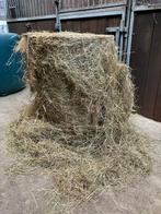 Te koop midi hooi balen, Dieren en Toebehoren, Dierenvoeding, Ophalen
