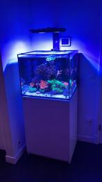 Zeeaquarium redsea reefer 170, Dieren en Toebehoren, Vissen | Aquaria en Toebehoren, Ophalen, Gebruikt