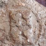 Bodemvondst Friesland Antiek Lood Wapenschild en Randschrift, Verzenden