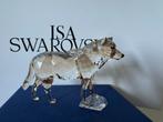 Gesigneerde wolf SCS 2019. Met handtekening Swarovski, Verzamelen, Swarovski, Ophalen of Verzenden, Zo goed als nieuw, Figuurtje