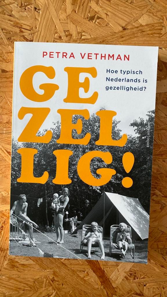 Petra Vethman - Gezellig!, Boeken, Politiek en Maatschappij, Zo goed als nieuw, Maatschappij en Samenleving, Nederland, Ophalen of Verzenden