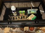 Kooi, Dieren en Toebehoren, Knaagdieren en Konijnen | Hokken en Kooien, Minder dan 60 cm, Kooi, Minder dan 75 cm, Ophalen of Verzenden