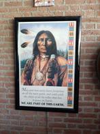 Mooie zwarte lijst met glas en verlichting met Indiaan, Ophalen, Zo goed als nieuw, Foto of Poster, 75 cm of meer