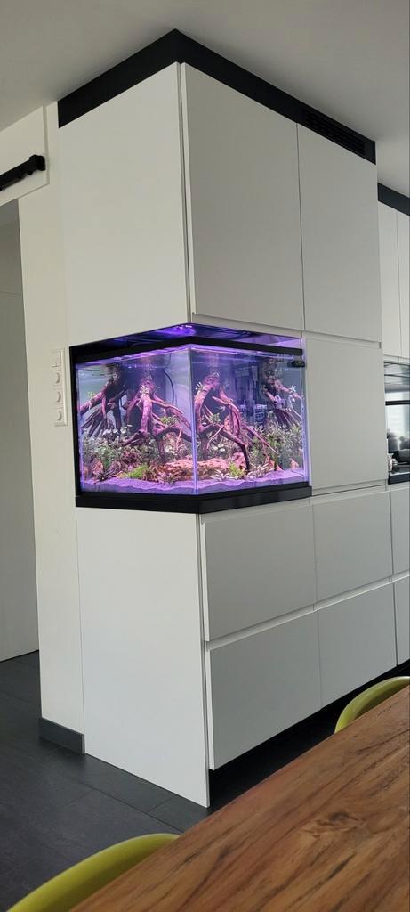 Aquarium 60x60x52 hoog, Dieren en Toebehoren, Vissen | Aquaria en Toebehoren, Gebruikt, Leeg aquarium, Ophalen