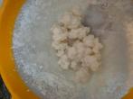 Melk kefir, Diversen, Levensmiddelen, Ophalen of Verzenden