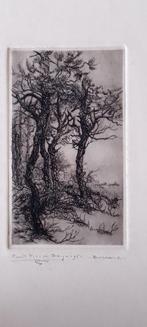 Ruurd van den Berg ets Bosrand, Ophalen of Verzenden