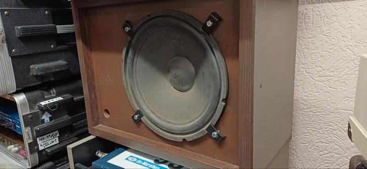 12 inch speakerkast., Muziek en Instrumenten, Versterkers | Keyboard, Monitor en PA, Gebruikt, Minder dan 500 watt, Ophalen of Verzenden