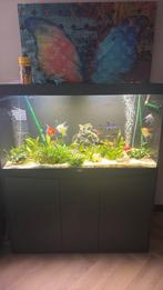Aquatlantis 350liter inc onderkast met 2 pompen, Dieren en Toebehoren, Vissen | Aquaria en Toebehoren, Ophalen, Zo goed als nieuw