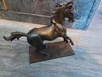 Beeld paard bronz zeer fraai gesigneerd, Ophalen of Verzenden