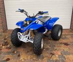QUAD Quadzilla R100 110cc 4 Takt!, Motoren, Quads en Trikes, 1 cilinder, 110 cc