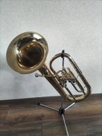 Mooie frontbel bariton demo merk Andante, Ophalen, Zo goed als nieuw, Euphonium of Tenortuba, Met koffer of draagtas