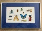 Waterverftekening voor boekomslag door H.P.V. Oosterom, Ophalen of Verzenden