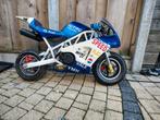 Nitro Motors Mini GP Pitbike mini bike, Fietsen en Brommers, Minibikes, Midibikes en Pitbikes, Ophalen, Gebruikt, Pitbike, Nitro Motors