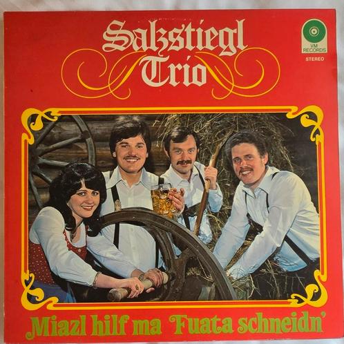 Salzstiegel trio! Fantastische lp op VM label!, Cd's en Dvd's, Vinyl | Wereldmuziek, Zo goed als nieuw, Overige formaten, Ophalen of Verzenden