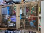 Keddock dubbel kooi voor rat of fret, Dieren en Toebehoren, Ophalen, Kooi, Gebruikt, Rat