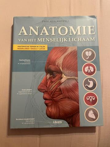 Anatomie van het menselijk lichaam beschikbaar voor biedingen
