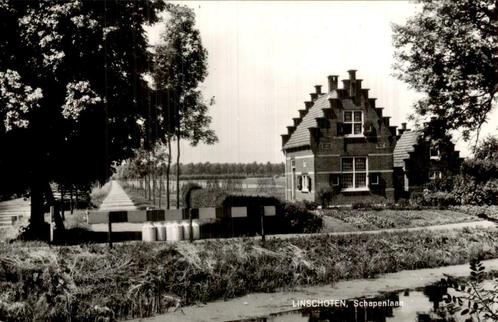 Linschoten, Schapenlaan, Verzamelen, Ansichtkaarten | Nederland, Ongelopen, Utrecht, 1920 tot 1940, Ophalen of Verzenden