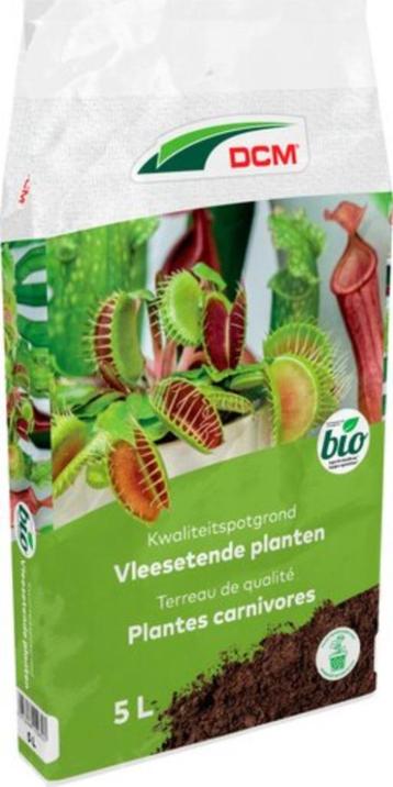 potgrond vleesetende plant DCM beschikbaar voor biedingen