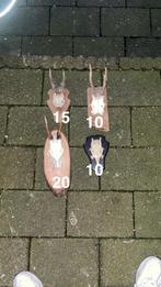 Schedels, Ophalen of Verzenden, Schedel