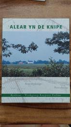 Alear yn de Knipe - Boek over De Knipe, Ophalen of Verzenden, Zo goed als nieuw, Kynhout - Wurkgroep Knypster Ferline