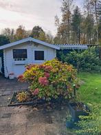 Chalet op zeer gezellige familiecamping RCN Zeewolde, Tuin