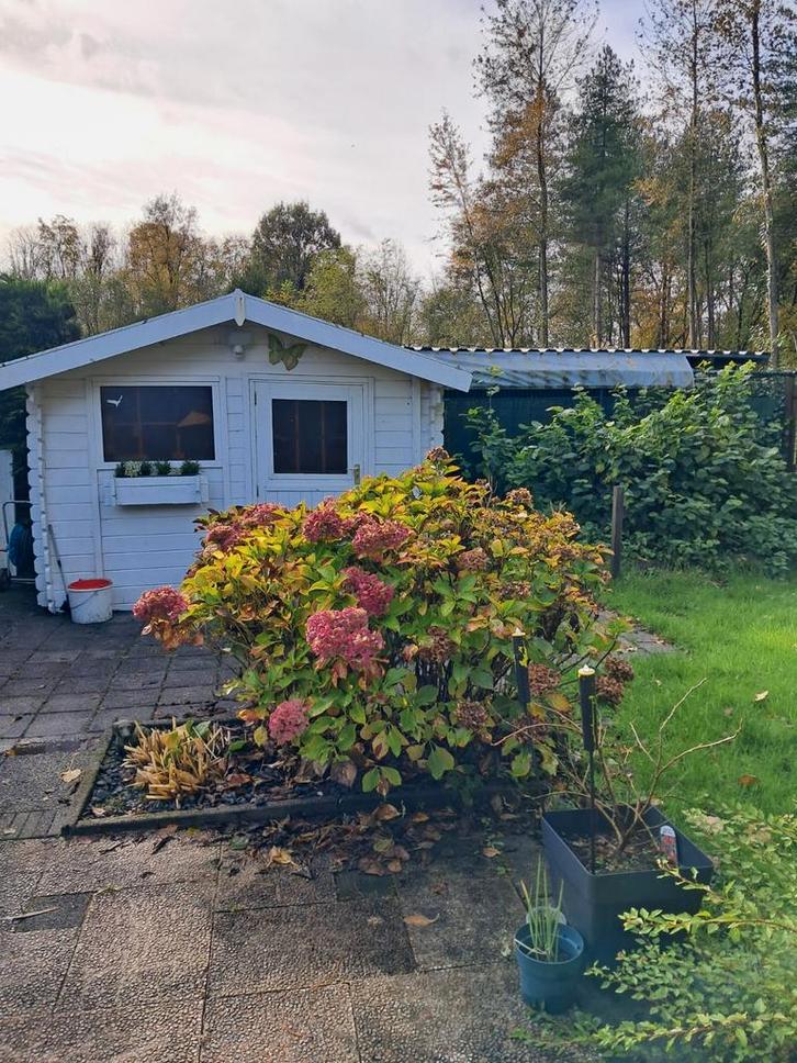 Chalet op zeer gezellige familiecamping RCN Zeewolde, Vakantie, Vakantiehuizen | Nederland, Tuin, Zwembad