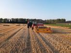 Stro kleine pakken oogst 2025 prima kwaliteit, Ophalen, Vee