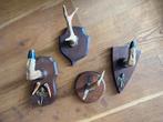4 x kleine jachttrofee / gewei / kleine brocante, Ophalen of Verzenden, Gebruikt, Wild dier, Gewei of Kop