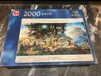Jumbo Puzzel 2000 stukjes Tom Dubois The Invitation, Ophalen of Verzenden, Meer dan 1500 stukjes, Zo goed als nieuw