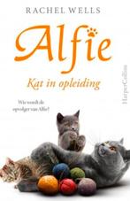 GEZOCHT boekje van Alfie, auteur Rachel Wells, Ophalen of Verzenden, Gelezen, Katten