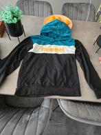 Hummel hoodie maat 164, Ophalen of Verzenden, Gebruikt, Jongen of Meisje, Trui of Vest
