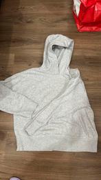 Grijze Hoodie /Maat L, Kleding | Dames, Zara, Maat 42/44 (L), Ophalen of Verzenden, Grijs