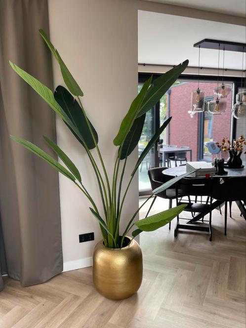 Strelitzia Nicolai Kunstplant – 210 cm | Nieuw |, Huis en Inrichting, Kamerplanten, Overige soorten, 200 cm of meer, Ophalen of Verzenden
