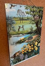 Vintage schoolplaat lente / natuur / dieren / bloemen, Antiek en Kunst, Antiek | Schoolplaten, Natuur en Biologie, Ophalen
