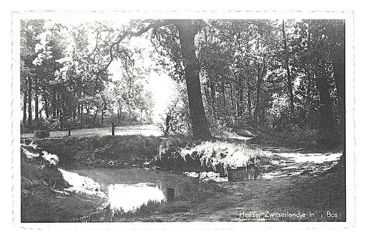 990537 Heeze Zwitserlandje in t Bos 1955 N Br Gelopen met, Verzamelen, Ansichtkaarten | Nederland, Gelopen, Noord-Brabant, 1940 tot 1960
