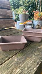 3 bruine bonsai schaaltjes, Ophalen of Verzenden, Zo goed als nieuw, Steen, Minder dan 30 cm