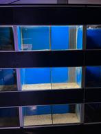 aquarium stelling, Dieren en Toebehoren, Ophalen, Gebruikt, Leeg aquarium