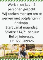 KASMEDEWERKER, 33 - 40 uur, Overige niveaus, Overige vormen