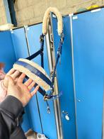 NIEUW eskadron halster full, Dieren en Toebehoren, Ophalen of Verzenden, Nieuw