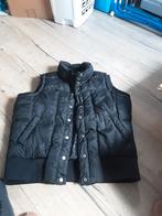 Bodywarmer maat 48, Maat 48/50 (M), Zwart, Ophalen of Verzenden, Yessica