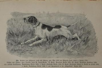 Der Jagdhund honden jachthonden Frans Krichler o.a. fok 1894 beschikbaar voor biedingen