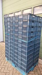 Krat kratten bak bakken 40 x 60 x 15 cm, Ophalen, Gebruikt, 40 tot 60 cm, 50 tot 75 cm