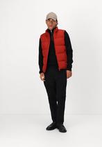 Tommy hilfiger dons bodywarmer NIEUW, Kleding | Heren, Bodywarmers, Overige kleuren, Maat 48/50 (M), Tommy Hilfiger, Nieuw