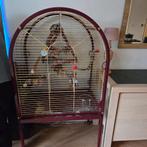 Vogelkooi, Dieren en Toebehoren, Vogels | Hokken en Kooien, Ophalen of Verzenden, Metaal, Vogelkooi