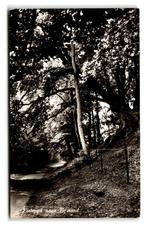 Egmond, Fietspad naar Egmond. Opruimingskaart, Ophalen of Verzenden, 1940 tot 1960, Gelopen, Noord-Holland