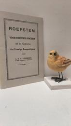 Ledeboer, Ds. L.G.C.; Roepstem voor ouderen en jongeren, Boeken, Ophalen of Verzenden, Gelezen, Christendom | Protestants