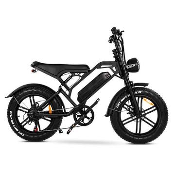 V20 Fatbike beschikbaar voor biedingen