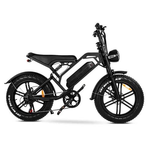 V20 Fatbike, Fietsen en Brommers, Fietsaccessoires | Bagagedragers, Nieuw, Ophalen of Verzenden