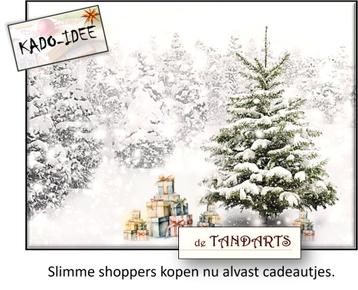 Kerstcadeautjes -  🎁 -  beschikbaar voor biedingen