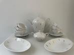 Vintage porseleinen theeservies Bavaria Bareuther 18-delig, Ophalen of Verzenden